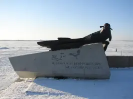 Тюленю-спасителю