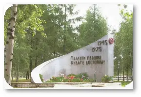 Памятник погибшим солдатам в п. Степановка, фотография 4