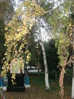 Памятник павшим на полях сражений Великой Отечественной войны, фотография 5