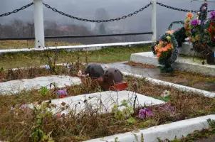 Мемориал "Вечная слава Героям" в селе Молодой Туд, фотография 4