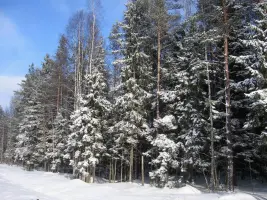 Памятник морякам-дальневосточникам 36 и 40 бригад морской пехоты