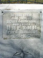 Памятник партизану С. И. Алехину (Поле Памяти) в селе Староникольское Хохольского района Воронежской области