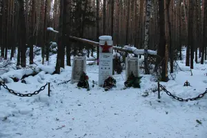 Вечная слава Героям Отечества, фотография 3