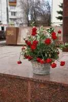 Монумент люблинцам, погибшим в Великой Отечественной войне, фотография 5
