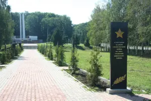 Братская могила с захоронением воинов, погибших в боях в период Великой Отечественной войны 1941-1945 гг, фотография 4