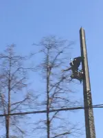Монумент Победы