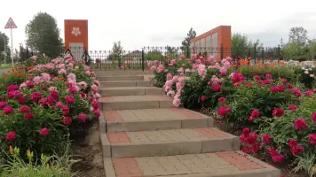 Память, которой не будет конца