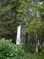 Воинское захоронение, Новгородская область, фотография 4