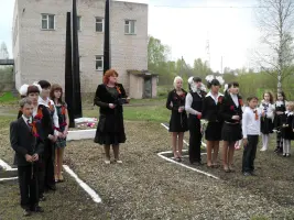 Обелиск Памяти. Новгородская область, Боровичский район, деревня Волок