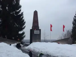 Синявинские высоты, фотография 3