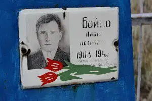 Одиночная могила - хутор Чапаев, Белокалитвенский район, Ростовская область, фотография 4