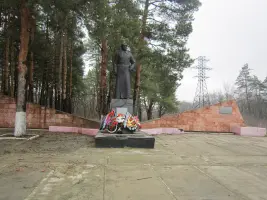 Памятник Курочкину Т.П, фотография 3