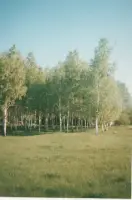 Памятник погибшим воинам-озерцам в Великой Отечественной войне