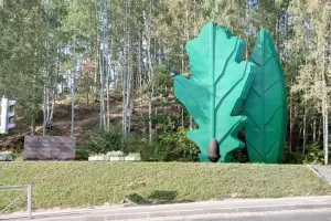 Листья дуба и лавра