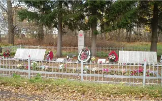 Обелиск воинам-освободителям в деревне Вохоново
