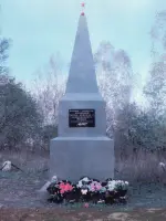 Памятник погибшим воинам-землякам
