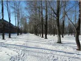 Обелиск, посвященный воинам ВО войны, фотография 2