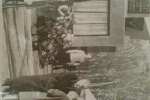 Обелиск павшим в Великой Отечественной войне жителям с. Красное Поселение, фотография 2