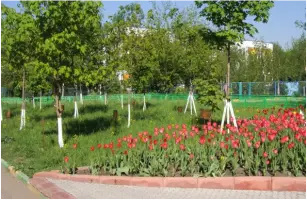 Аллея Славы