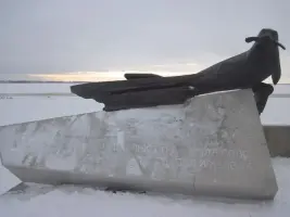 Тюленю-спасителю