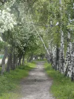 Памятник учителям и ученикам, погибшим в годы ВОв, фотография 3