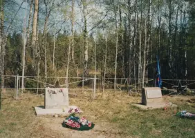 Братская могила вне кладбища (102 км тракта Кочкома – Костомукша), фотография 2