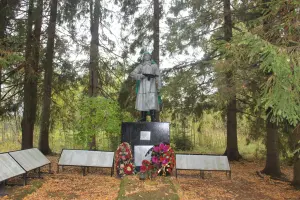Братская могила вблизи деревни Сотово Холмского района Новгородской области, фотография 5