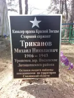 Братская могила в д. Введенское МО, фотография 2