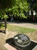 Мемориальный камень на школьной березовой аллее, посаженной подольскими курсантами, фотография 2