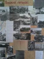 Музей «Журавлиный крик» ГБОУ СОШ № 84 Петроградского района Санкт-Петербурга, фотография 4