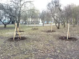Памятник «Детям блокады», фотография 4