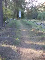 Братская могила