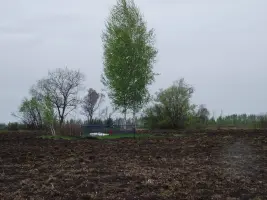 Могила экипажа самолёта-бомбардировщика