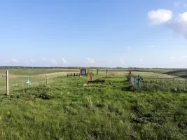 Братская могила в 5 км от х. Красный Скотовод, Пролетарского района, Ростовской области, фотография 4