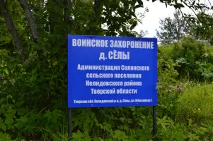Воинское захоронение д. Сёлы, фотография 3