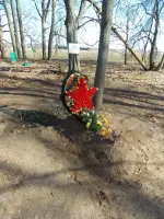 Могила неизвестного солдата в селе Святск Новозыбковского района Брянской области, фотография 3