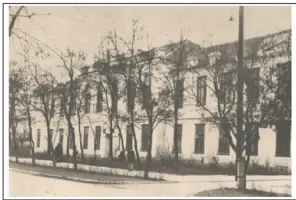 Место массовой гибели советских граждан, 1941−1944 гг, фотография 2