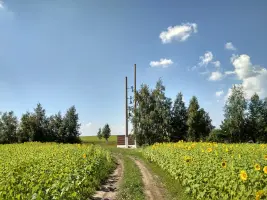 Мемориал «Колпачки — убитая деревня» (точное расположение), фотография 3
