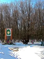 Урочище &laquo;Толстое&raquo;, урочище Толстое