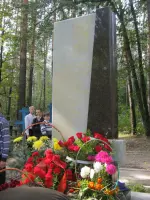 Памятник погибшим лётчикам, Россия, Ульяновская область, Николаевский район, посёлок Белое Озеро
