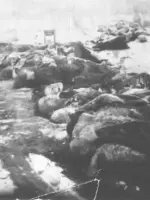 Памятник жертвам финской диверсии, Россия, Республика Карелия, Сегежский район