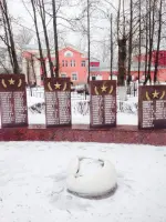 Монумент скорбящей матери в Саввино, Россия, Московская область, Железнодорожный, Саввинская улица