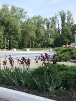 Мемориал воинам, погибшим в годы Великой Отечественной войны при освобождении сельского поселения Гигант Сальского р-на Ростовской облас, Россия, Ростовская область, Сальский район, поселок Гигант, Учебная улица