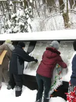 Братская могила и мемориал, Центральный парк культуры и отдыха "Динамо", г. Воронеж, парк Динамо