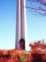 Памятник на братской могиле бойцов 169-й Краснознаменной орденов Суворова, Кутузова Рогачевской дивизии погибших при обстреле вражеской ав, Россия, Астраханская область, Ахтубинский район