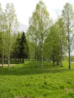 Стела к 35-летию Победы над фашистской Германией, Р98