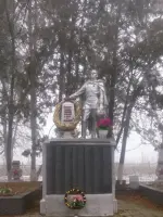 Братская могила в с.Чикола, Р-295