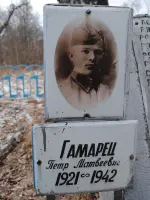 Братское захоронение у реки Вырка (между деревней Ретюнь и селом Долбино Белёвского района Тульской области), Россия, Тульская область, Белевский район
