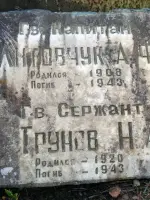 Памятный знак на месте гибели летчиков А.Ф. Литовчука и Н.А. Трунова, Россия, Ленинградская область, Ломоносовский район