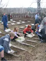 Мемориал Памяти воинов с. Матрёнино (д. Рощино), Россия, Владимирская область, Петушинский район, деревня Рощино